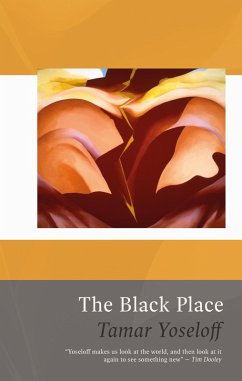 Cover The Black Place (eBook, ePUB)