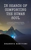 In Search of Comforting the Human Soul (eBook, ePUB)