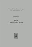 Jesus. Der Messias Israels (eBook, PDF)