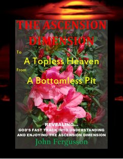 Cover Ascension Dimension (eBook, ePUB)