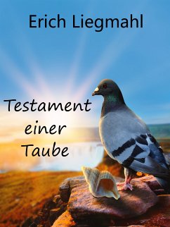 Testament einer Taube (eBook, ePUB) - Liegmahl, Erich