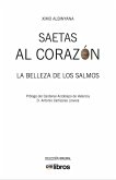 Saetas al corazón (eBook, ePUB)