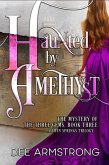Haunted by Amethyst (The Mystery of the Three Gems, A Twin Springs Trilogy, #3) (eBook, ePUB)