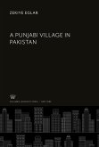 A Punjabi Village in Pakistan