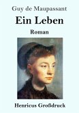 Ein Leben (Großdruck)