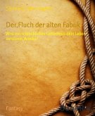 Der Fluch der alten Fabrik (eBook, ePUB)