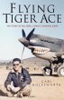 Flying Tiger Ace (eBook, PDF) - Bild 1