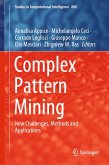 Complex Pattern Mining (eBook, PDF)