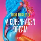 A Copenhagen Dream - erotic short story (MP3-Download)