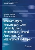 Vascular Surgery, Neurosurgery, Lower Extremity Ulcers, Antimicrobials, Wound Assessment, Care, Measurement and Repair (eBook, PDF)