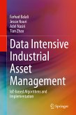Data Intensive Industrial Asset Management (eBook, PDF)