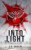 Into Light (Shadow and Light, #2) (eBook, ePUB) Into Light (Shadow and Light, #2) (eBook, ePUB)