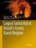 Lagoa Santa Karst: Brazil's Iconic Karst Region (eBook, PDF)