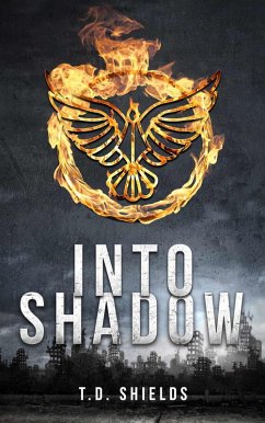 Cover Into Shadow (Shadow and Light, #1) (eBook, ePUB)