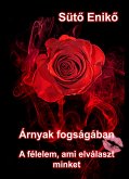 Árnyak fogságában (eBook, ePUB)