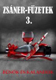 Zsáner-füzetek 3. (eBook, ePUB)