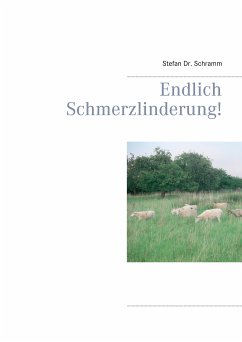 Endlich Schmerzlinderung! (eBook, ePUB) - Schramm, Stefan
