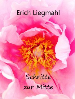 Schritte zur Mitte (eBook, ePUB)