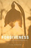 Forgiveness (eBook, ePUB)