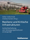 Resilienz und Kritische Infrastrukturen (eBook, ePUB)