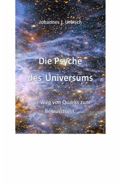 Die Psyche des Universums (eBook, ePUB) - Urbisch, Johannes J.