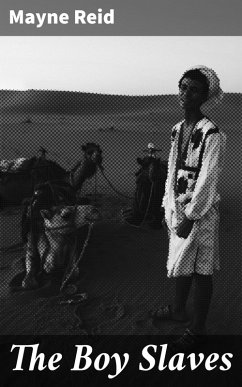 Cover The Boy Slaves (eBook, ePUB)