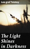 The Light Shines in Darkness (eBook, ePUB)