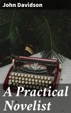 A Practical Novelist (eBook, ePUB)