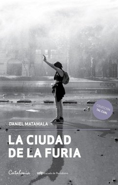 La ciudad de la furia (eBook, ePUB) - Matamala, Daniel