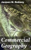 Commercial Geography (eBook, ePUB)