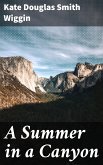 A Summer in a Canyon (eBook, ePUB)