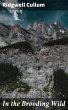 In the Brooding Wild (eBook, ePUB) - Bild 1