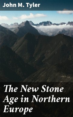 The New Stone Age in Northern Europe (eBook, ePUB) - Tyler, John M.