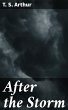 After the Storm (eBook, ePUB) - Bild 1