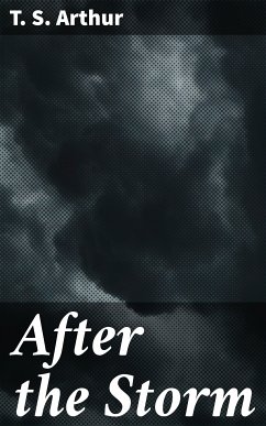 After the Storm (eBook, ePUB) - Arthur, T. S.