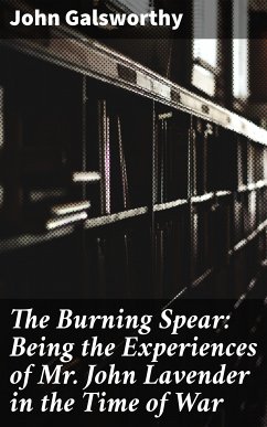 The Burning Spear: Being the Experiences of Mr. John Lavender in the Time of War (eBook, ePUB) - Galsworthy, John