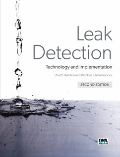 Leak Detection (eBook, ePUB)
