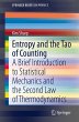 Entropy and the Tao of Counting - Bild 1