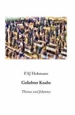 Geliebter Knabe - Hohmann, FAJ