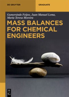 Mass Balances for Chemical Engineers - Feijoo, Gumersindo;Lema, Juan Manuel;Moreira, Maria Teresa