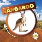 Kangaroo