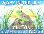 A Day in the Life of Mr. Toad (eBook, ePUB)