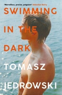 Cover Swimming in the Dark