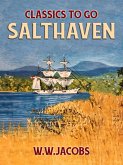 Salthaven (eBook, ePUB)