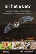 Is That a Bat? (eBook, ePUB) - Bild 1