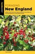 Foraging New England (eBook, ePUB) - Bild 1