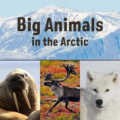 Big Animals in the Arctic - Arvaaq Press