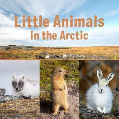 Little Animals in the Arctic - Arvaaq Press