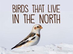 Birds That Live in the North - Arvaaq Press