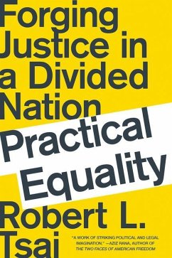 Practical Equality: Forging Justice in a Divided Nation - Tsai, Robert L.